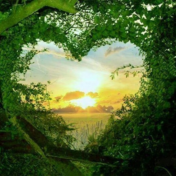 Meet your Posher, Luis - Picture 1 of 1